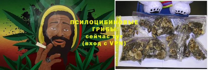 Псилоцибиновые грибы Magic Shrooms  сайты даркнета клад  Высоцк 